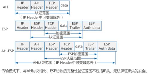 計(jì)算機(jī)網(wǎng)絡(luò)系統(tǒng) 數(shù)字時(shí)代的基石